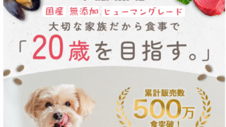 ミシュワン